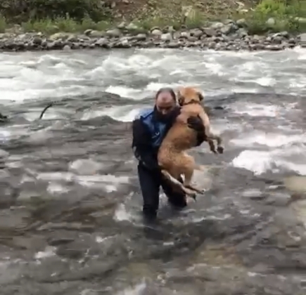 CAN DOSTLARIMIZ YANLIZ DEGİL