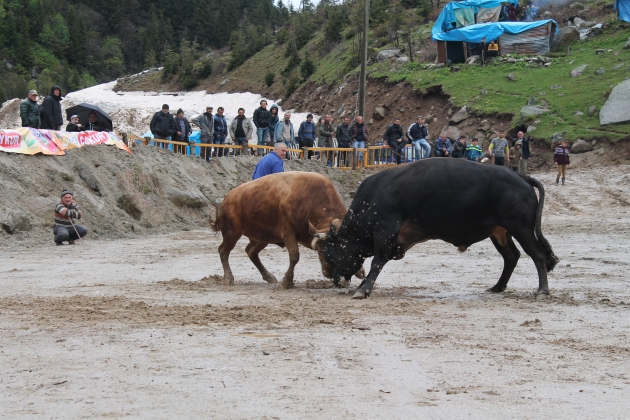 Bu yıl 23. sü düzenlenen Çamlıhemşin-Ayder Galer Düzü Kültür Sanat ve Doğa Festivalinden renkli kareler..