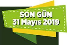 SON GÜN 31 MAYIS 2019