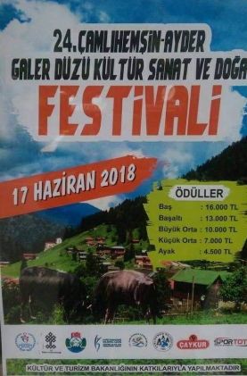 BOĞA GÜREŞLERİ