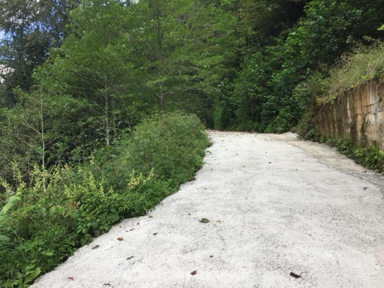 KAVAK YOL BETONLAMASI