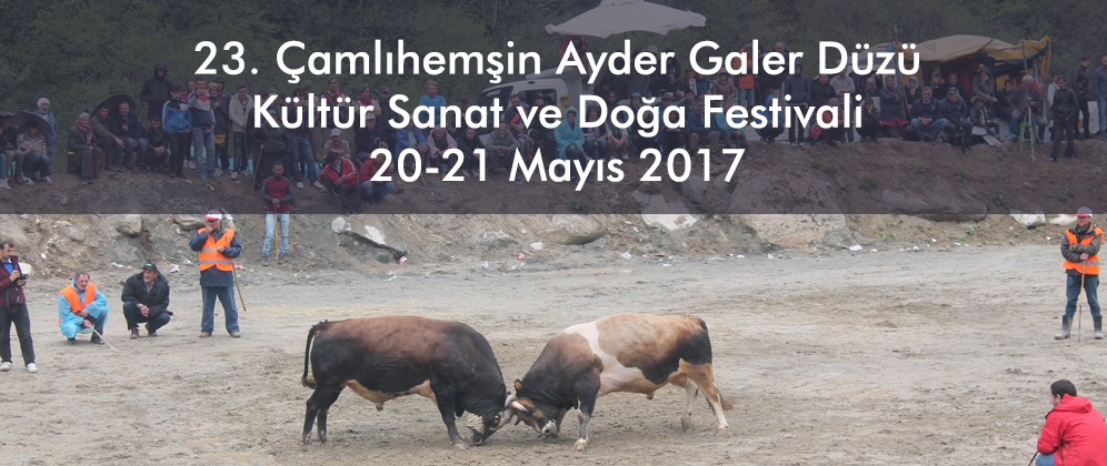 23. Çamlıhemşin Ayder Galer Düzü